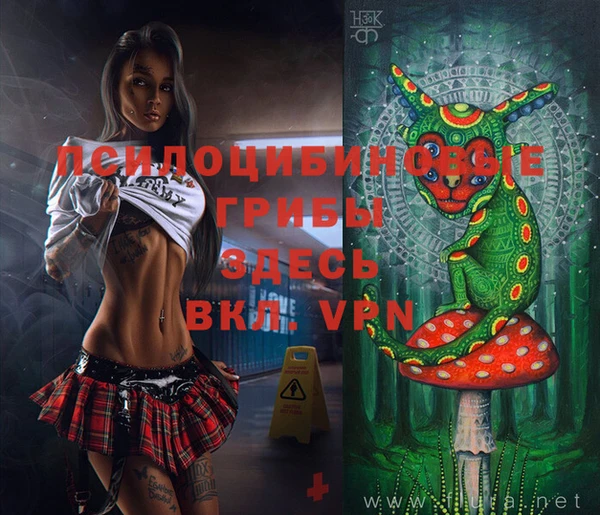 гашиш Няндома