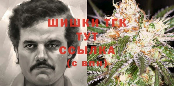 альфа пвп Нязепетровск