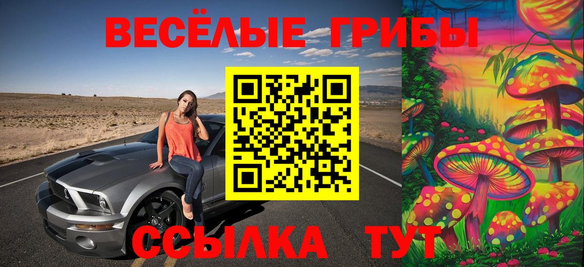 Краснотурьинск  Псилоцибиновые грибы Psilocybine cubensis  сколько стоит  Вход с VPN 