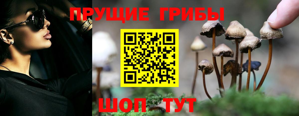 Галлюциногенные грибы ЛСД Краснотурьинск